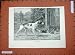 1889 Dadd Fine Art Hunting Man Hound Dog Kitten Cats