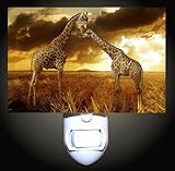 IMAGE OF Giraffes at Dusk Decorative Night Light