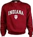 Indiana Hoosiers Perennial Crewneck Sweatshirt - Small