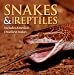 Snakes & Other Reptiles: Includes America's Deadliest Snakes