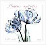 Flower Spirits 2012 Mini (calendar)