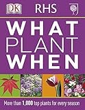 What plant when