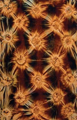 Tye Dye Cappuccino Sarong Tye Dye Cappuccino Sarong