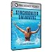 Search : The Pursuit of Excellence: Synchronized Swimming