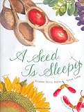 A Seed Is Sleepy