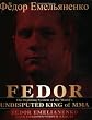 Fedor: The Fighting System of the World's Undisputed King of Mma