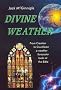 DIVINE WEATHER PB