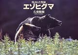 エゾヒグマ―残された聖域