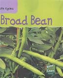 Broad Bean  (Read & Learn: Life Cycles) (Read & Learn: Life Cycles)