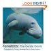Manatees: The Gentle Giants