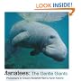 Manatees: The Gentle Giants