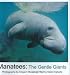 Manatees: The Gentle Giants