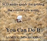 Review New Beginnings Publishing  / You Can Do It: 5CD audio guide for getting the results you want
