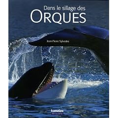 Dans le sillage des orques