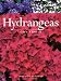 Hydrangeas