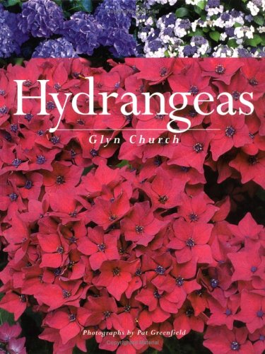 Hydrangeas