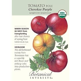 Tomato Cherokee Purple Certified Organic Heirloom Seeds 20 Seeds: Patio, Lawn &amp; Garden