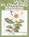 Wild Flowers of South China And Hong Kong