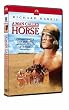 A Man Called Horse [DVD]