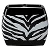 Zebra Toothbrush Holder