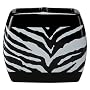 Zebra Toothbrush Holder