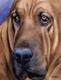 Bloodhound Dog Art Print Signed by Artist DJ Rogers