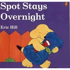 Spot Stays Overnight
