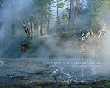Red Rock Yellow Stone (Yellowstone Cover)