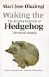 Waking the Hedgehog: The Literary Universe of Bernardo Atxaga (Basque Textbooks Series)