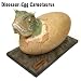 ダイナソーディノエッグ（Dino Egg）シリーズ　カルノタウルス_s-2