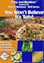 You Won't Believe It's Tofu!