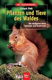 Pflanzen und Tiere des Waldes. Die haeufigsten Arten erkennen und bestimmen