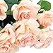 Topix Premium Artificial Flower Romantic Rose (Pink, 10pcs-Scape)