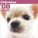 Chihuahua The Dog 2008 Wall Calendar