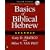 Basics of Biblical Hebrew Grammar