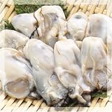 広島牡蠣1kg（冷凍むき身）