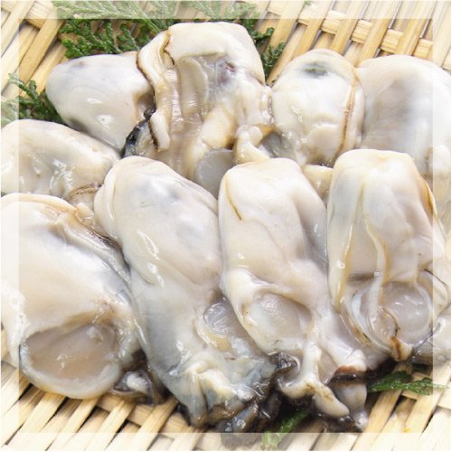 広島牡蠣1kg（冷凍むき身）