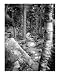Mount Ascutney, Vermont Scenic Photographic Poster Print by Julie Tocher, 16x20