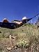 Camper Dozes, Oblivious to Potential Hazards on the Ground Photographic Poster Print ...