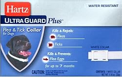 Hartz Ultraguard Plus Flea &Tick Dog Collar
