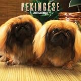 Pekingese 2007 Calendar