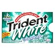 Trident White Wintergreen Sugarless (12 Piece) Gum 3-Count Multi-Packs (Pack of 20)