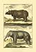 Diderot's Elephant and Rhino - Denis Diderot Art Print Poster 13 x 19