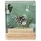 3-D Seashells Coaster Set