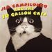 Jim Campilongo And The 10 Gallon Cats