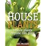 House Plants