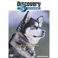 【クリックで詳細表示】ディスカバリーチャンネル The Ultimate Guide イヌ [DVD]