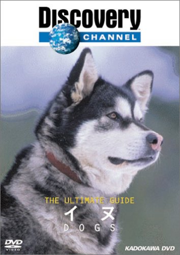 �ǥ������Х꡼�����ͥ� The Ultimate Guide ����