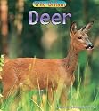 Deer (Wild Britain) (Wild Britain: Animals)
