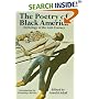 The Poetry of Black America: Anthology of the 20th Century